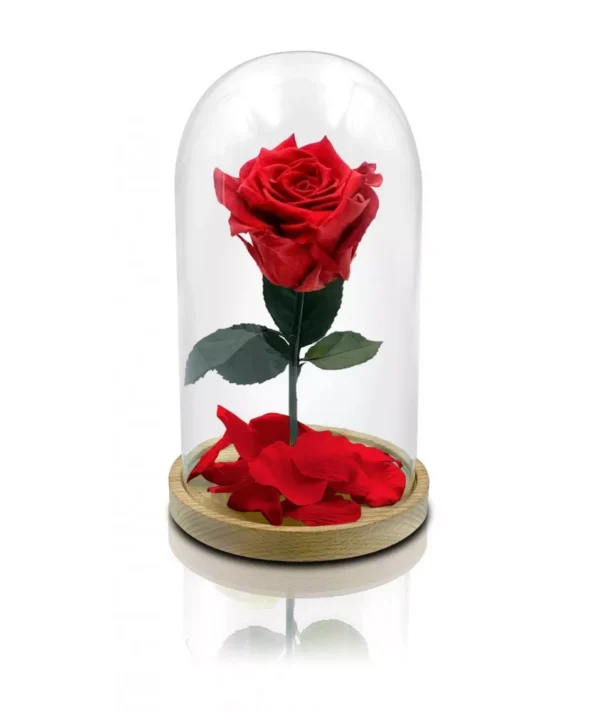 Rosa Stabilizzata Rossa
